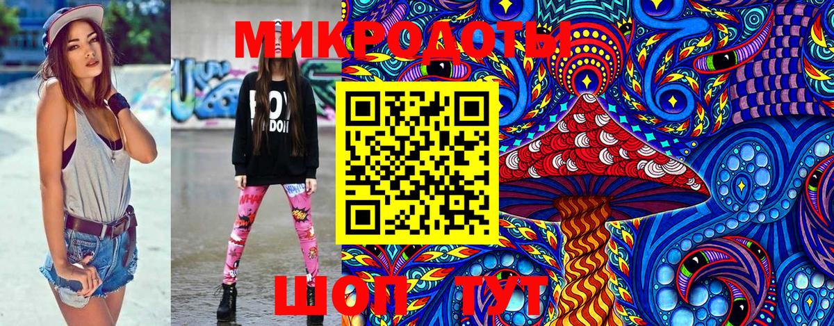 Псилоцибиновые грибы Psilocybe Электросталь