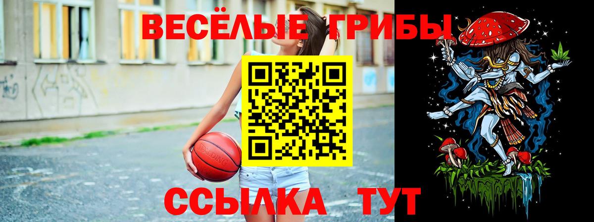Галлюциногенные грибы Psilocybe  где купить наркоту  Вход с VPN  Электросталь  Псилоцибиновые грибы GOLDEN TEACHER 